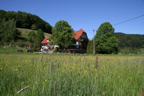 Hotel-Restaurant Kohlenbacher-Hof Waldkirch Exterior foto