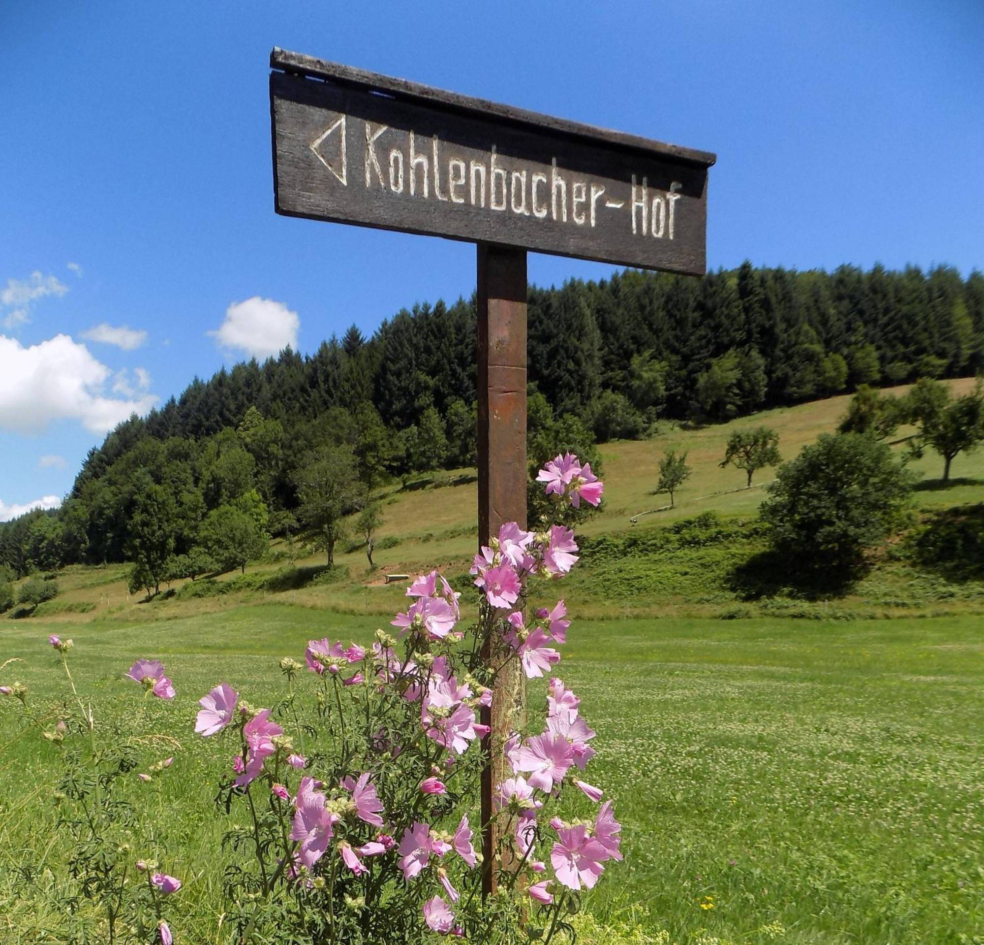 Hotel-Restaurant Kohlenbacher-Hof Waldkirch Exterior foto
